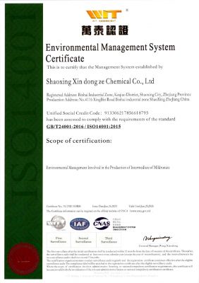 Environmental Management System Certification Certificate